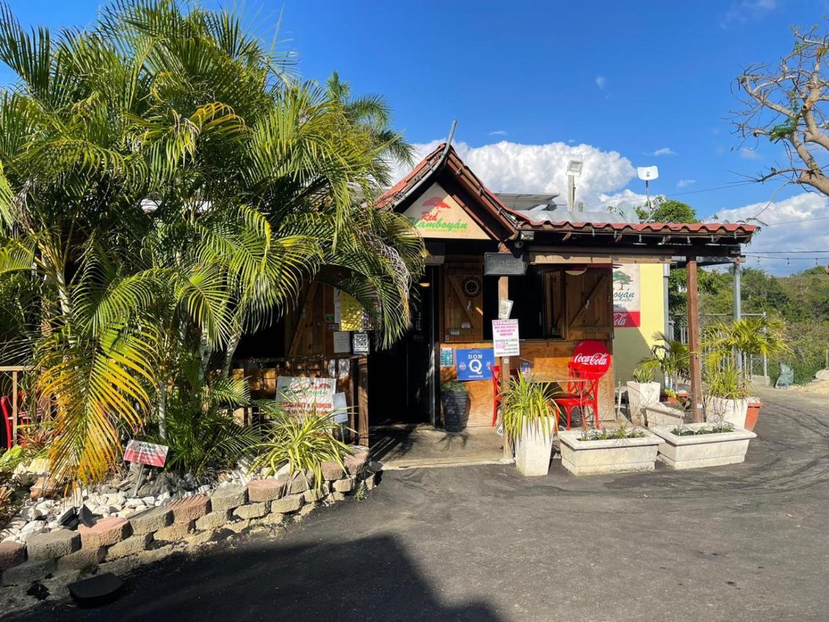 Red Flamboyan Guesthouse And Restaurant Rincon Εξωτερικό φωτογραφία